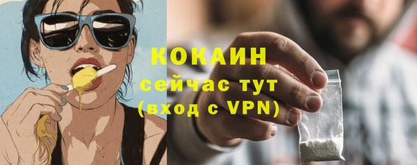 дживик Баксан