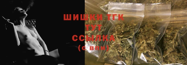 дживик Баксан