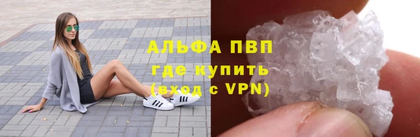 дживик Баксан