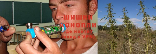 тгк Балабаново