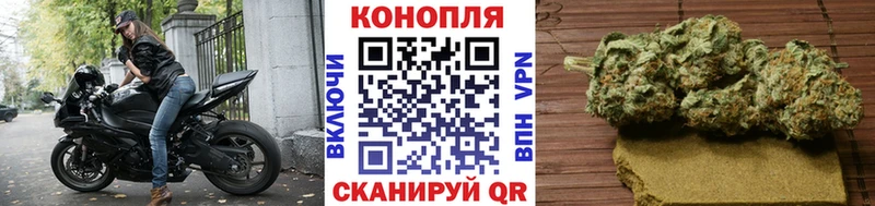 Бошки Шишки планчик  Первомайск 
